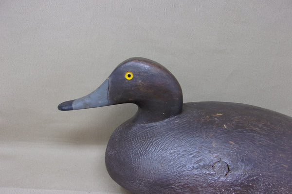 Canadian Diver Hen, Circa 1920's (#3892)