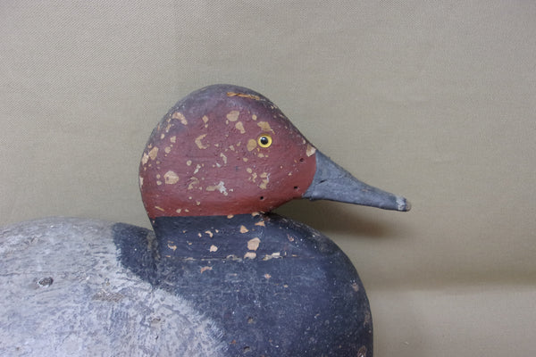 Michigan Redhead, Circa 1920's (#3893)