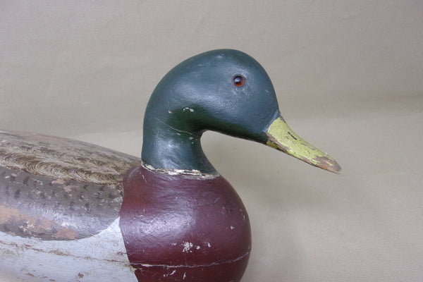 Perdew Mallard Drake, Perdew Weight, Circa 1920's (#3916)