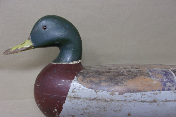 Perdew Mallard Drake, Perdew Weight, Circa 1920's (#3916)