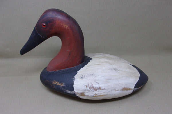 Canvasback, Heron Lake Replica  (#3918)