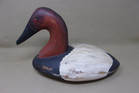 Canvasback, Heron Lake Replica  (#3918)