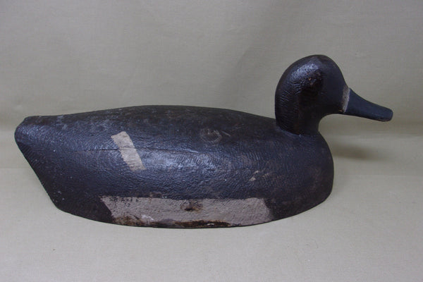 Michigan Blue Bill Oversized Hen, St. Clair Flats (#3919)