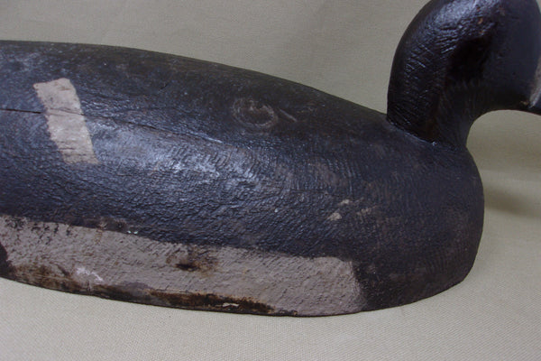 Michigan Blue Bill Oversized Hen, St. Clair Flats (#3919)