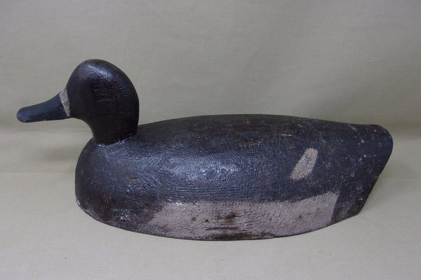 Michigan Blue Bill Oversized Hen, St. Clair Flats (#3919)