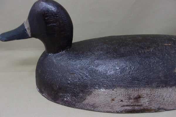 Michigan Blue Bill Oversized Hen, St. Clair Flats (#3919)