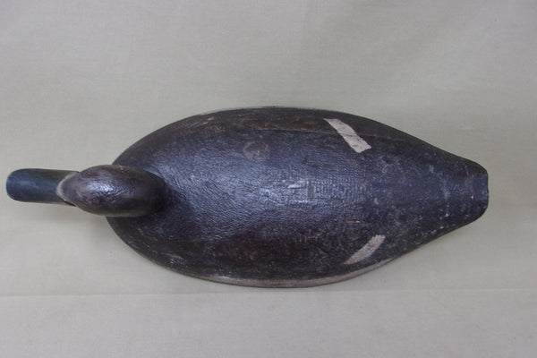 Michigan Blue Bill Oversized Hen, St. Clair Flats (#3919)