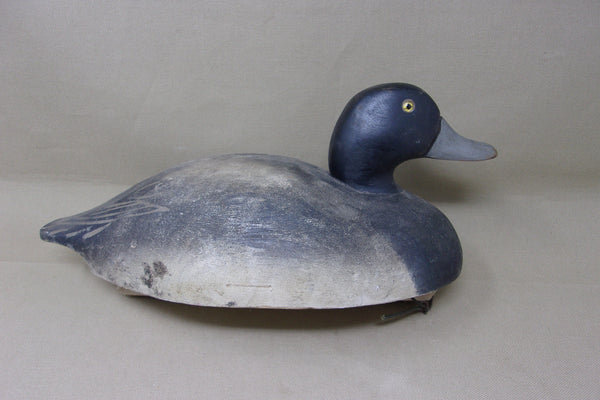 Wildfowler Blue Bill Drake, Old Saybrook (#3921)