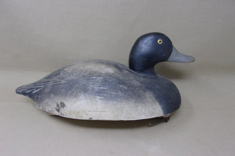 Wildfowler Blue Bill Drake, Old Saybrook (#3921)