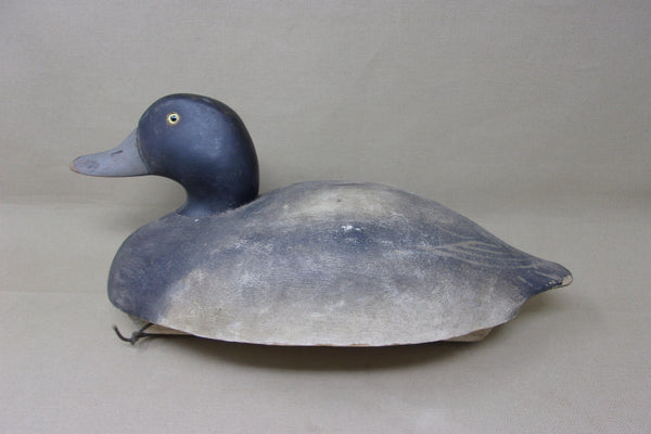 Wildfowler Blue Bill Drake, Old Saybrook (#3921)