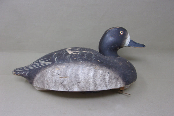 Wildfowler Blue Bill Hen, Old Saybrook  (#3922)