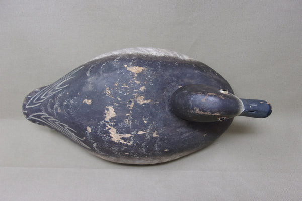 Wildfowler Blue Bill Hen, Old Saybrook  (#3922)