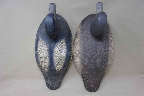 Oversized, High Headed Wildfowler Blue Bills, Pair  (#3924)