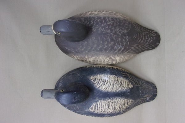 Oversized, High Headed Wildfowler Blue Bills, Pair  (#3924)