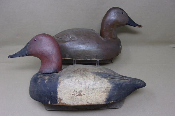 Michigan Pair Canvasbacks, Original Paint, Circa 1930's (#3930)