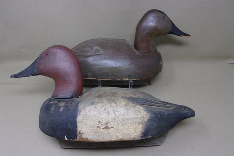 Michigan Pair Canvasbacks, Original Paint, Circa 1930's (#3930)