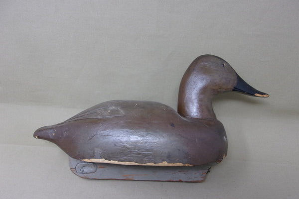 Michigan Pair Canvasbacks, Original Paint, Circa 1930's (#3930)
