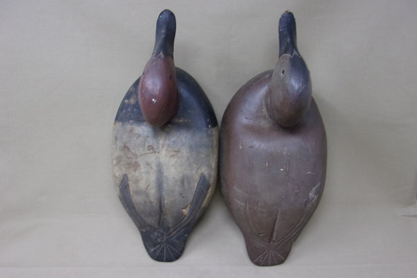 Michigan Pair Canvasbacks, Original Paint, Circa 1930's (#3930)