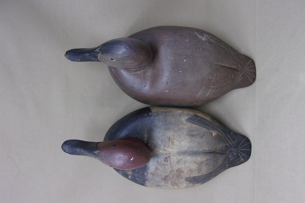 Michigan Pair Canvasbacks, Original Paint, Circa 1930's (#3930)