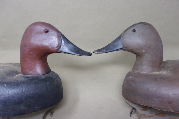Michigan Pair Canvasbacks, Original Paint, Circa 1930's (#3930)
