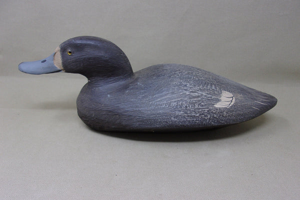 Tom Martindale Blue Bill Hen  (#3941)