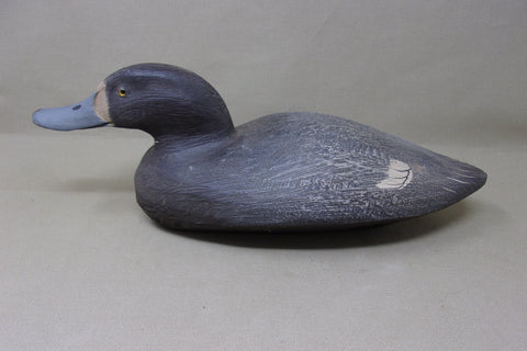 Tom Martindale Blue Bill Hen  (#3941)