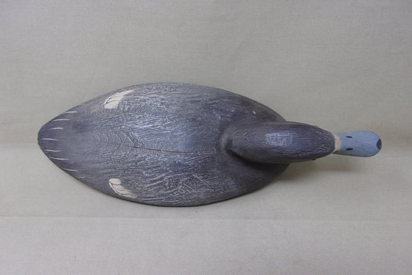 Tom Martindale Blue Bill Hen  (#3941)