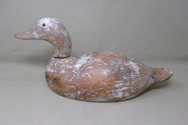 Evans Canvasback Mammoth Grade, Circa 1930's (#3956)