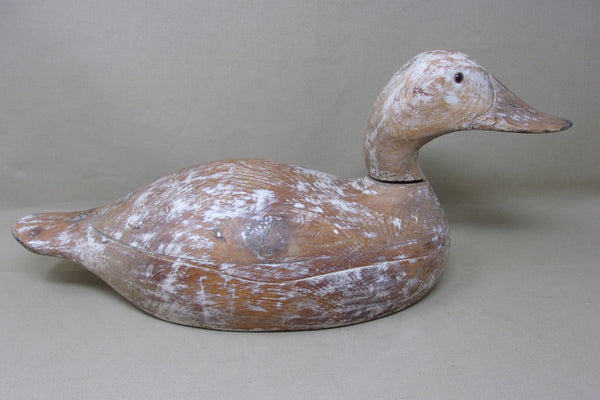 Evans Canvasback Mammoth Grade, Circa 1930's (#3956)