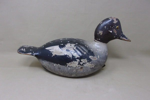 Julius Mittelstaedt Golden Eye Hen (#3968)