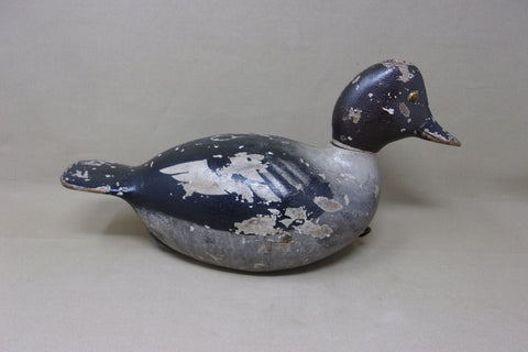 Julius Mittelstaedt Golden Eye Hen (#3968)