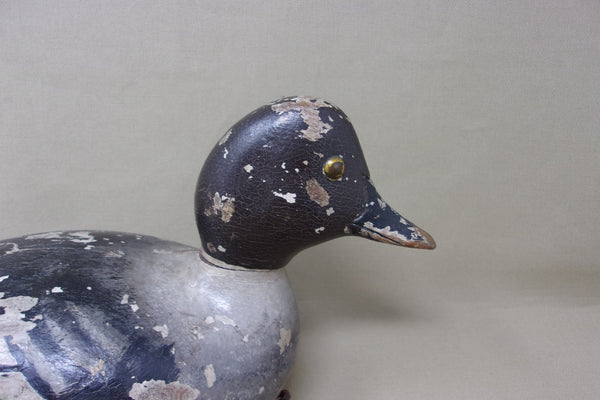 Julius Mittelstaedt Golden Eye Hen (#3968)