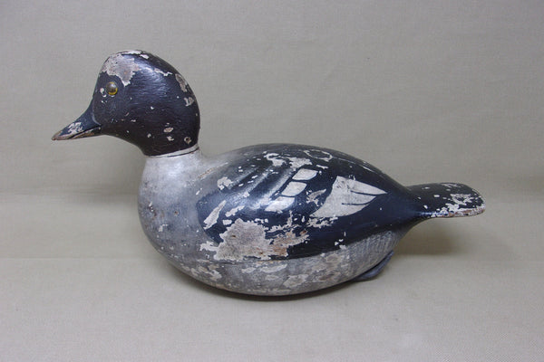 Julius Mittelstaedt Golden Eye Hen (#3968)