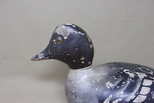 Julius Mittelstaedt Golden Eye Hen (#3968)