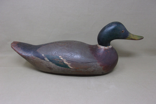Mason Challenge Mallard Drake Circa 1920's  (#3971)