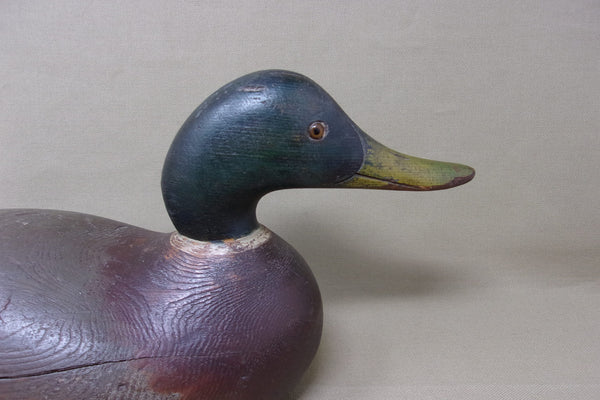 Mason Challenge Mallard Drake Circa 1920's  (#3971)