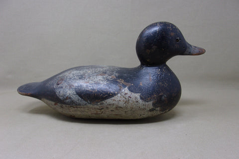 Mason Blue Bill Drake (#3986)