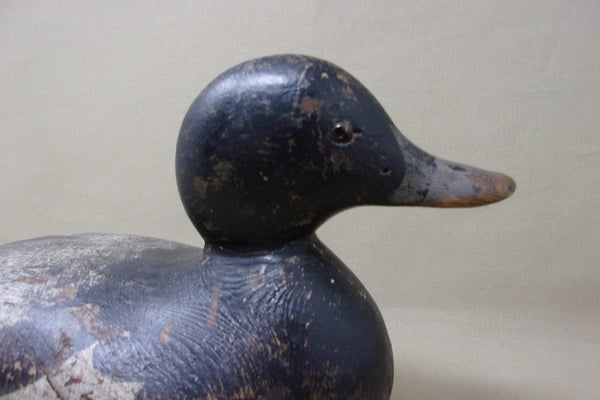 Mason Blue Bill Drake (#3986)