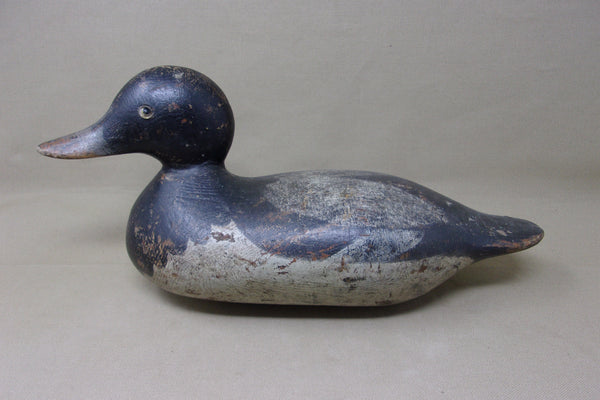 Mason Blue Bill Drake (#3986)