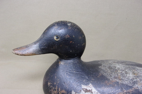 Mason Blue Bill Drake (#3986)