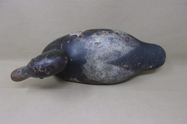 Mason Blue Bill Drake (#3986)