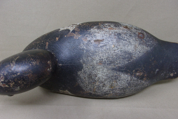 Mason Blue Bill Drake (#3986)