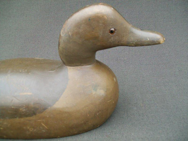 Padco Hen Pintail original paint