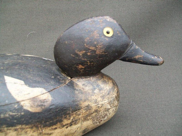 NY Long Island Golden Eye Hen Original Paint