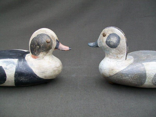 Great Bay Outlaws Duncan Szeliga Pair of Old Squaws  (#1929)