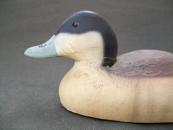 Herters 1893 Series Ruddy Duck