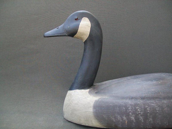 Michigan Canada Goose Ben Schmidt Influence