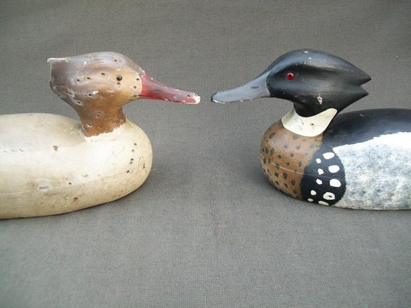 J.J. West Working Red Breasted Mergansers Pair