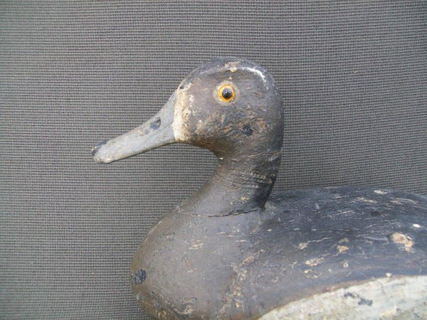 Otto Garren Blue Bill Hen