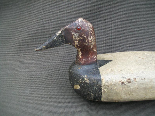 Lohrman Canvasback Drake Hollow with Weight  (#1922)